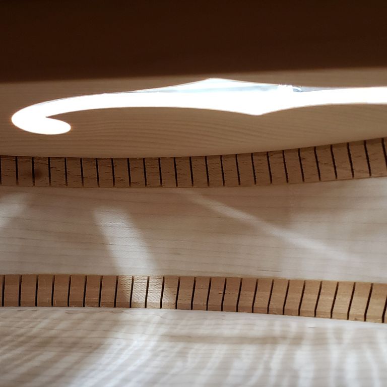 Archtop interior